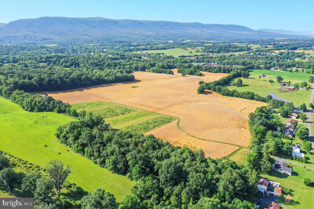 S OX RD EDINBURG, EDINBURG, Virginia 22824, ,Farm,For sale,S OX RD EDINBURG,VASH2011792 MLS # VASH2011792