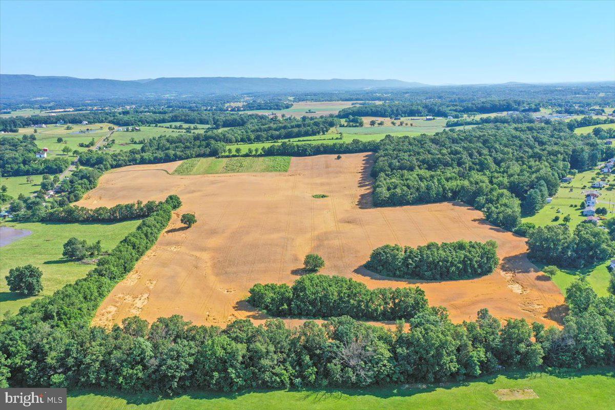 S OX RD EDINBURG, EDINBURG, Virginia 22824, ,Farm,For sale,S OX RD EDINBURG,VASH2011792 MLS # VASH2011792