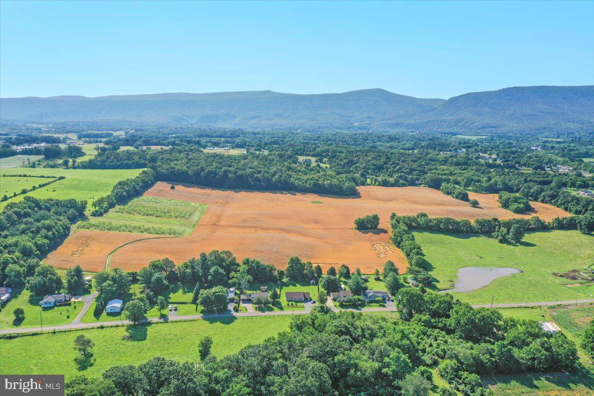 S OX RD EDINBURG, EDINBURG, Virginia 22824, ,Farm,For sale,S OX RD EDINBURG,VASH2011792 MLS # VASH2011792