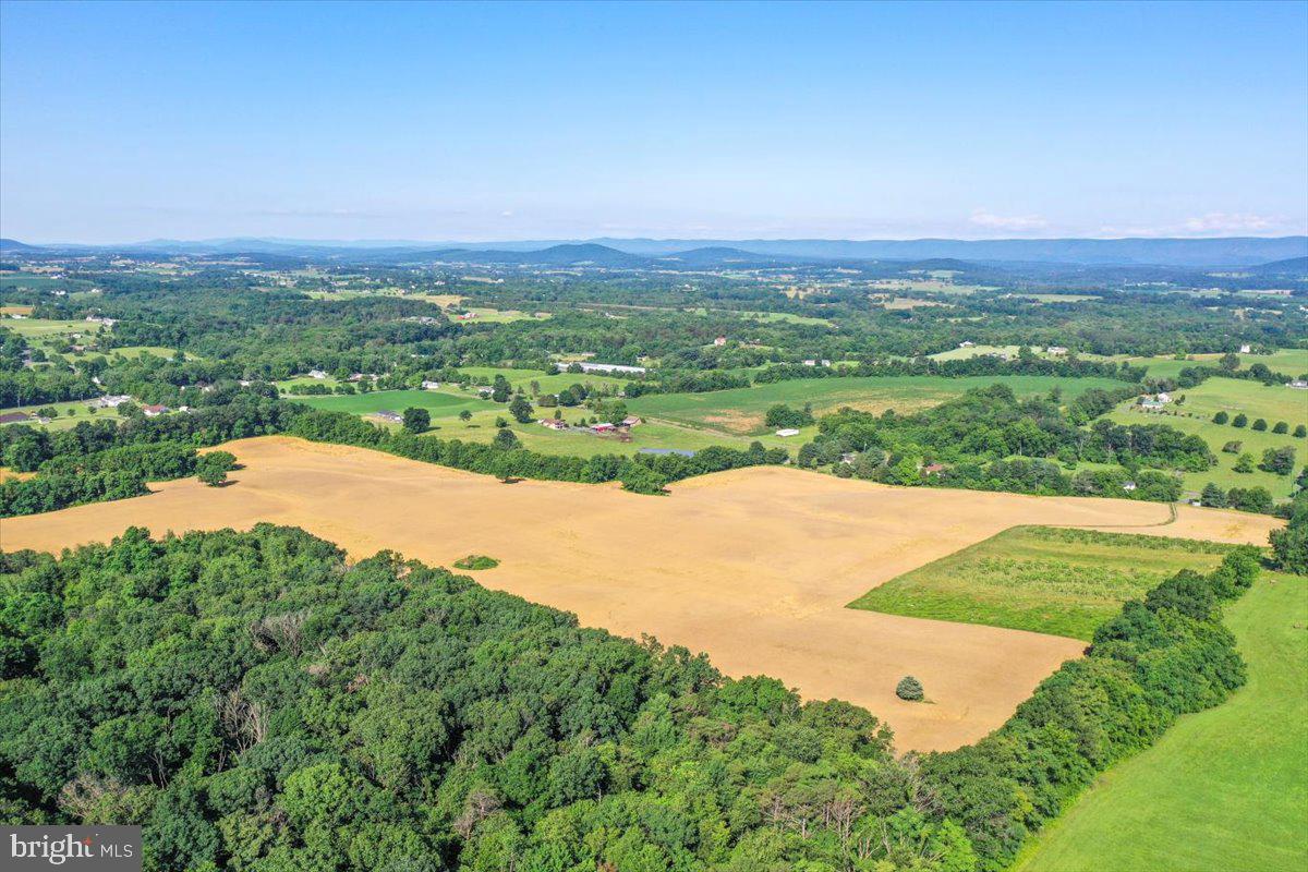 S OX RD EDINBURG, EDINBURG, Virginia 22824, ,Farm,For sale,S OX RD EDINBURG,VASH2011792 MLS # VASH2011792