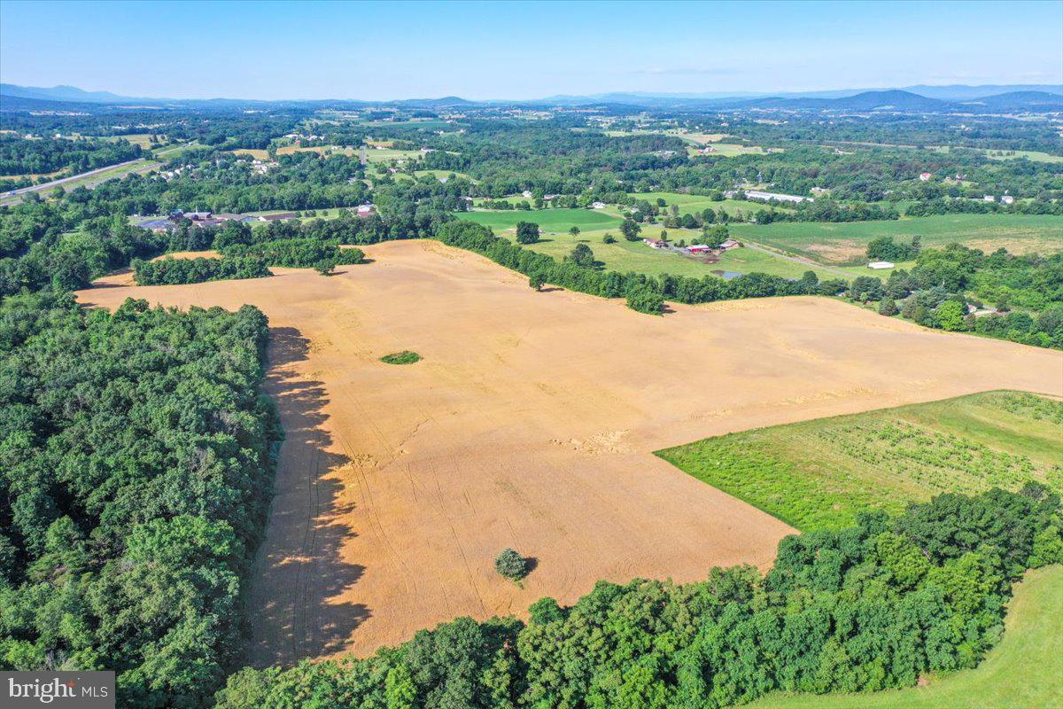 S OX RD EDINBURG, EDINBURG, Virginia 22824, ,Farm,For sale,S OX RD EDINBURG,VASH2011792 MLS # VASH2011792