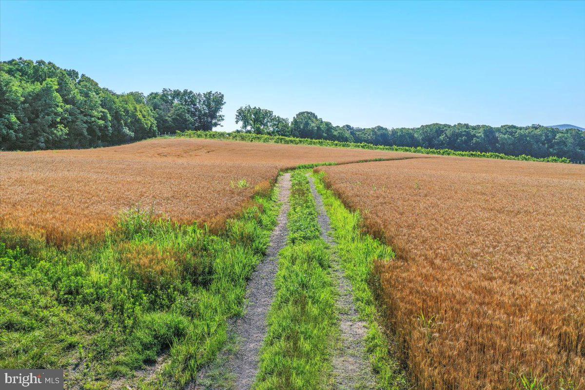 S OX RD EDINBURG, EDINBURG, Virginia 22824, ,Farm,For sale,S OX RD EDINBURG,VASH2011792 MLS # VASH2011792
