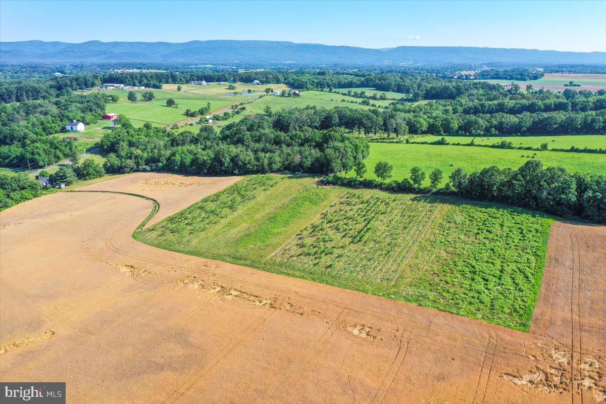S OX RD EDINBURG, EDINBURG, Virginia 22824, ,Farm,For sale,S OX RD EDINBURG,VASH2011792 MLS # VASH2011792