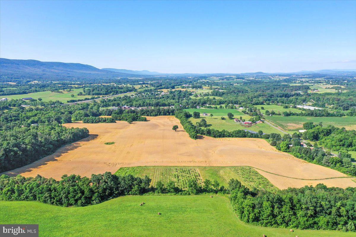 S OX RD EDINBURG, EDINBURG, Virginia 22824, ,Farm,For sale,S OX RD EDINBURG,VASH2011792 MLS # VASH2011792