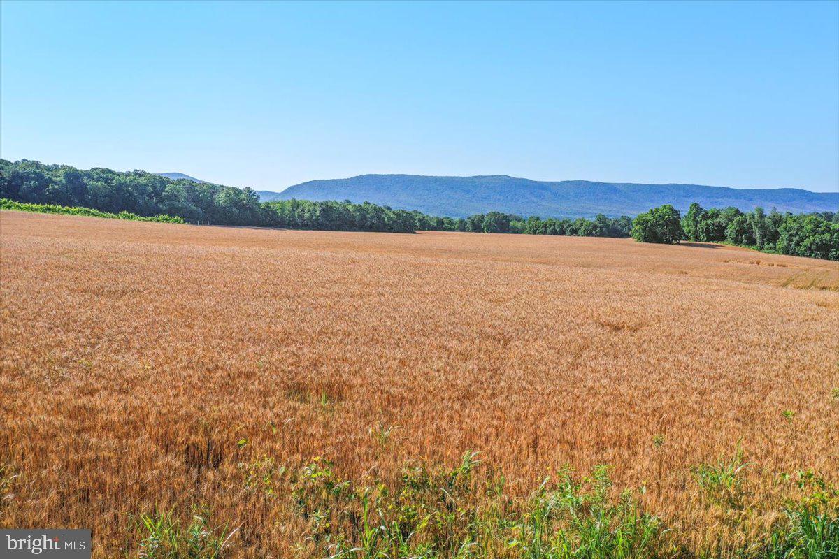 S OX RD EDINBURG, EDINBURG, Virginia 22824, ,Farm,For sale,S OX RD EDINBURG,VASH2011792 MLS # VASH2011792