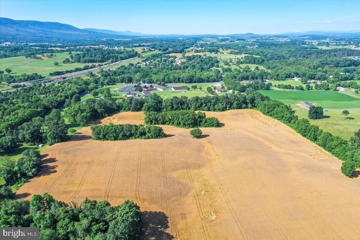 S OX RD EDINBURG, EDINBURG, Virginia 22824, ,Farm,For sale,S OX RD EDINBURG,VASH2011792 MLS # VASH2011792