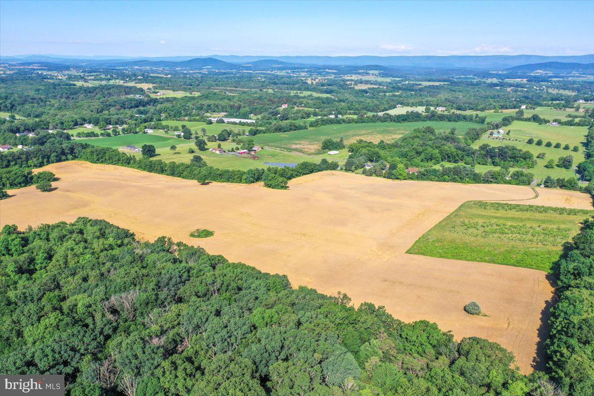 S OX RD EDINBURG, EDINBURG, Virginia 22824, ,Farm,For sale,S OX RD EDINBURG,VASH2011792 MLS # VASH2011792