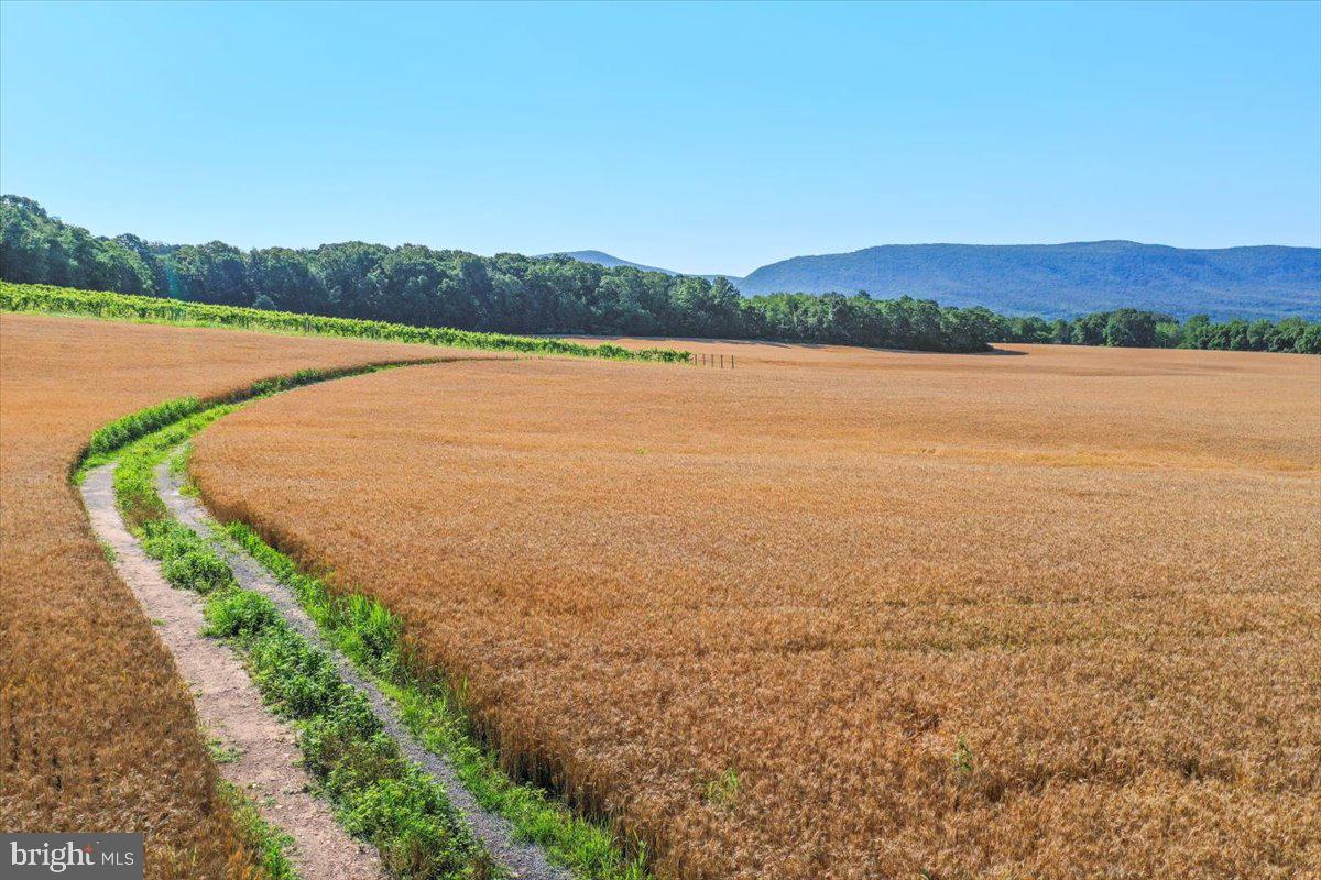 S OX RD EDINBURG, EDINBURG, Virginia 22824, ,Farm,For sale,S OX RD EDINBURG,VASH2011792 MLS # VASH2011792