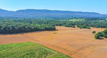 S OX RD EDINBURG, EDINBURG, Virginia 22824, ,Farm,For sale,S OX RD EDINBURG,VASH2011792 MLS # VASH2011792