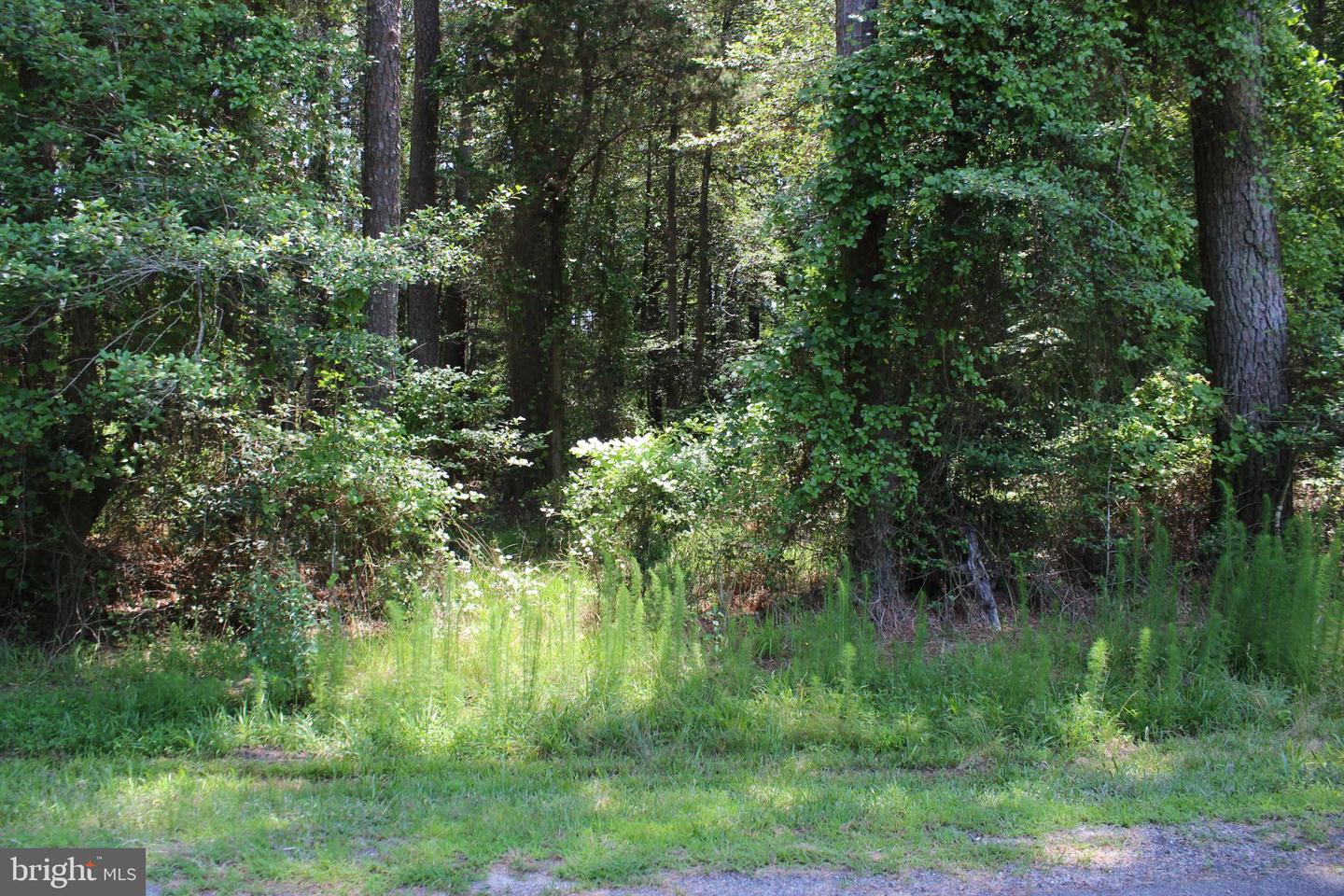 1075 AMIDSHIP DR, GREENBACKVILLE, Virginia 23356, ,Land,For sale,1075 AMIDSHIP DR,VAAC2001986 MLS # VAAC2001986