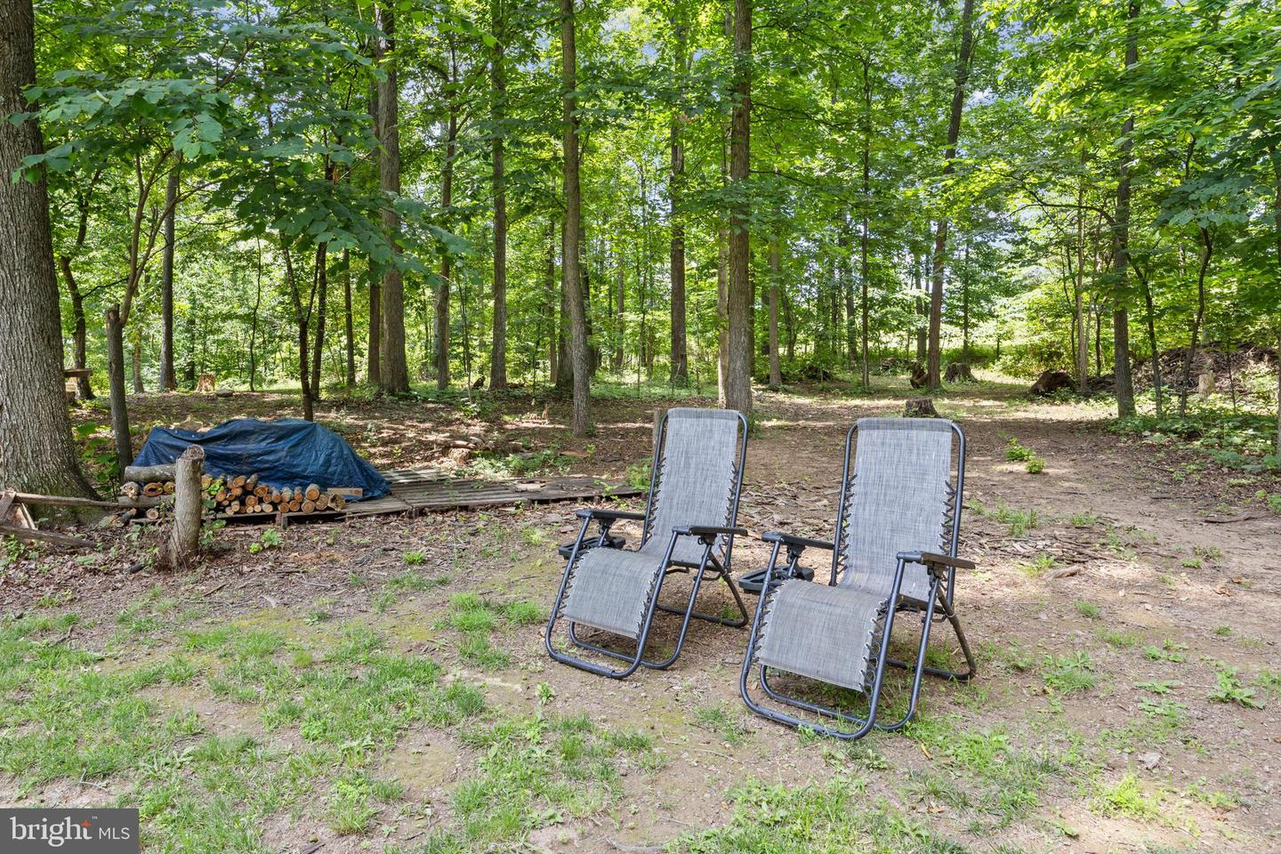 2529 SAUMSVILLE RD, MAURERTOWN, Virginia 22644, 3 Bedrooms Bedrooms, ,2 BathroomsBathrooms,Residential,For sale,2529 SAUMSVILLE RD,VASH2011830 MLS # VASH2011830