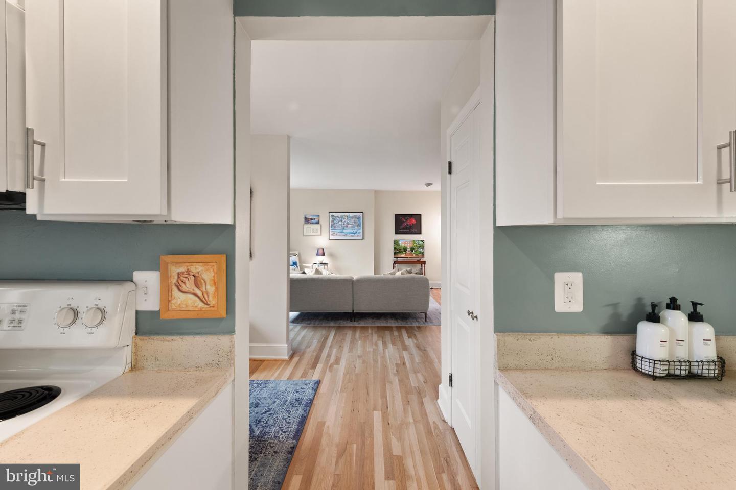 317 10TH ST NE #13, WASHINGTON, District Of Columbia 20002, 1 Bedroom Bedrooms, ,1 BathroomBathrooms,Residential,For sale,317 10TH ST NE #13,DCDC2205976 MLS # DCDC2205976