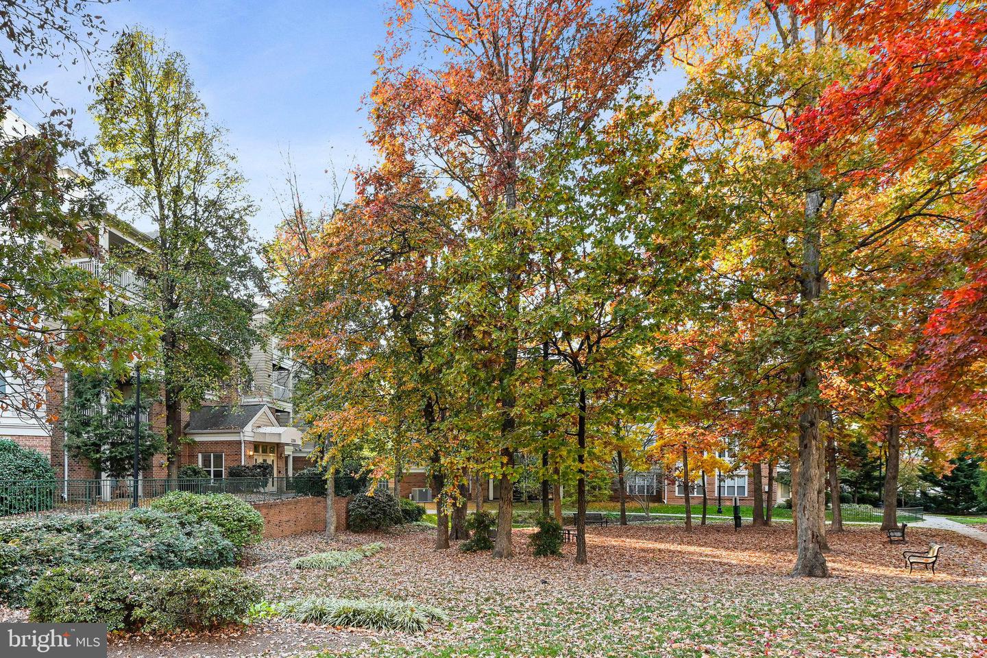 2204 WESTCOURT LN #313, HERNDON, Virginia 20170, 1 Bedroom Bedrooms, ,1 BathroomBathrooms,Residential,For sale,2204 WESTCOURT LN #313,VAFX2249392 MLS # VAFX2249392