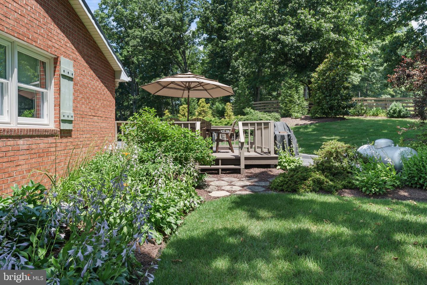 1483 TEA BERRY RD, TOMS BROOK, Virginia 22660, 3 Bedrooms Bedrooms, ,2 BathroomsBathrooms,Residential,For sale,1483 TEA BERRY RD,VASH2011778 MLS # VASH2011778