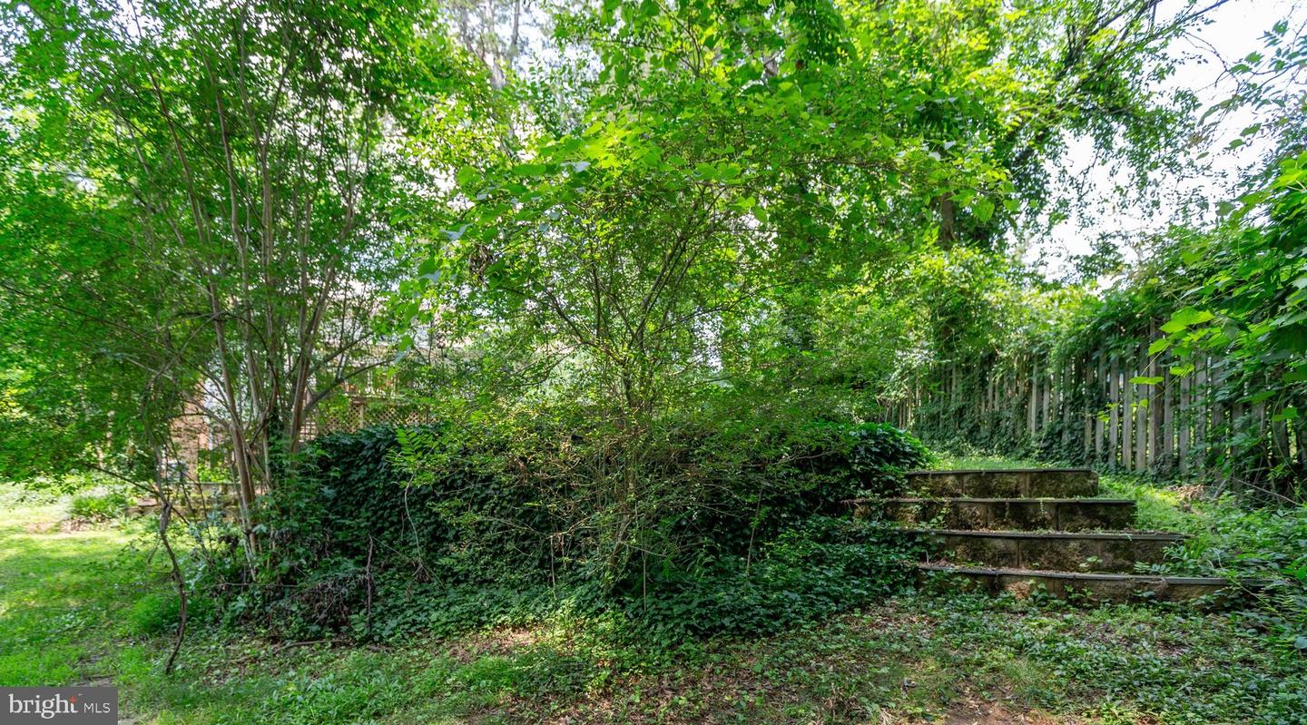 12 NELSON ST, FREDERICKSBURG, Virginia 22405, 4 Bedrooms Bedrooms, ,4 BathroomsBathrooms,Residential,For sale,12 NELSON ST,VAST2040246 MLS # VAST2040246