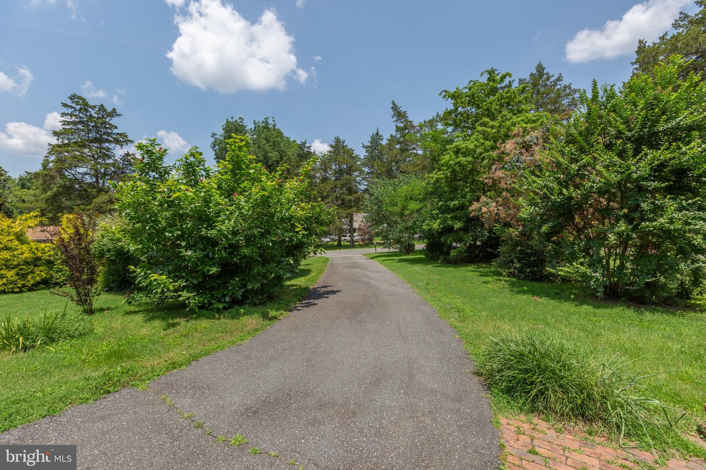 12 NELSON ST, FREDERICKSBURG, Virginia 22405, 4 Bedrooms Bedrooms, ,4 BathroomsBathrooms,Residential,For sale,12 NELSON ST,VAST2040246 MLS # VAST2040246