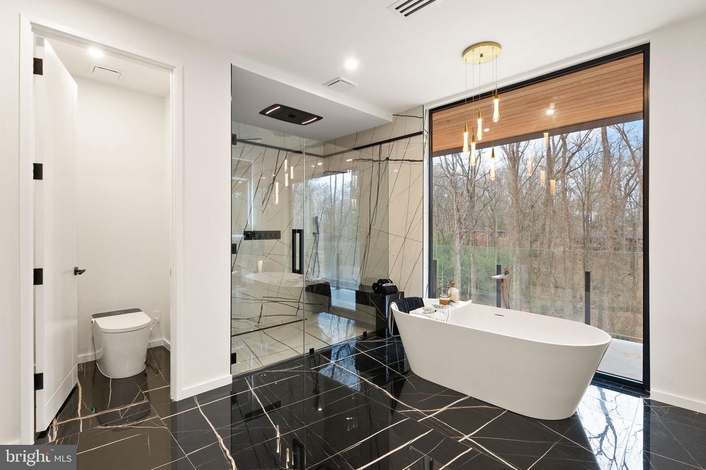 1803 DUMBARTON ST, MCLEAN, Virginia 22101, 5 Bedrooms Bedrooms, ,7 BathroomsBathrooms,Residential,For sale,1803 DUMBARTON ST,VAFX2252282 MLS # VAFX2252282