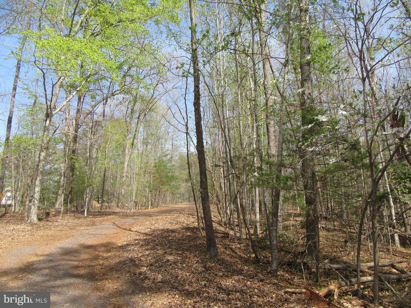 DIAMOND GLEN-LOT 3 OLD OFFICE RD, RHOADESVILLE, Virginia 22542, ,Land,For sale,DIAMOND GLEN-LOT 3 OLD OFFICE RD,VAOR2009468 MLS # VAOR2009468