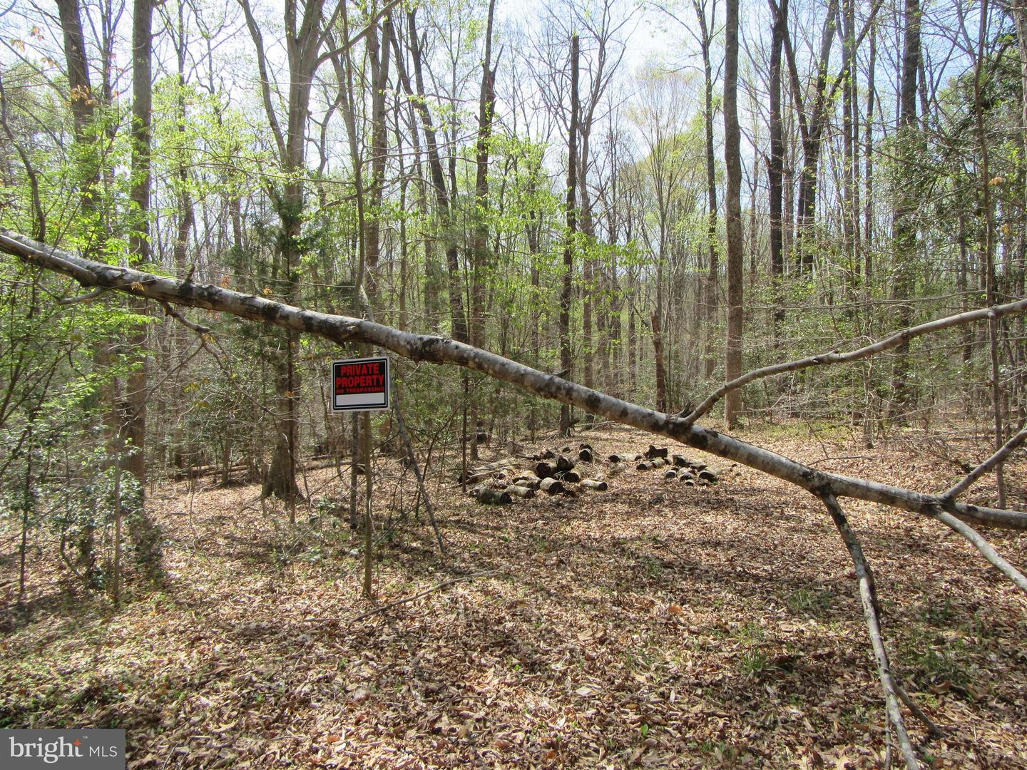 DIAMOND GLEN-LOT 3 OLD OFFICE RD, RHOADESVILLE, Virginia 22542, ,Land,For sale,DIAMOND GLEN-LOT 3 OLD OFFICE RD,VAOR2009468 MLS # VAOR2009468