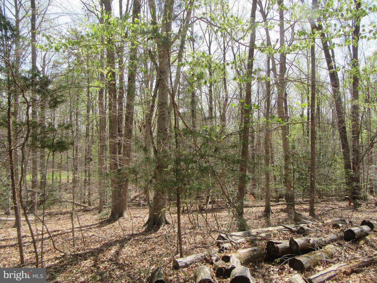 DIAMOND GLEN-LOT 3 OLD OFFICE RD, RHOADESVILLE, Virginia 22542, ,Land,For sale,DIAMOND GLEN-LOT 3 OLD OFFICE RD,VAOR2009468 MLS # VAOR2009468