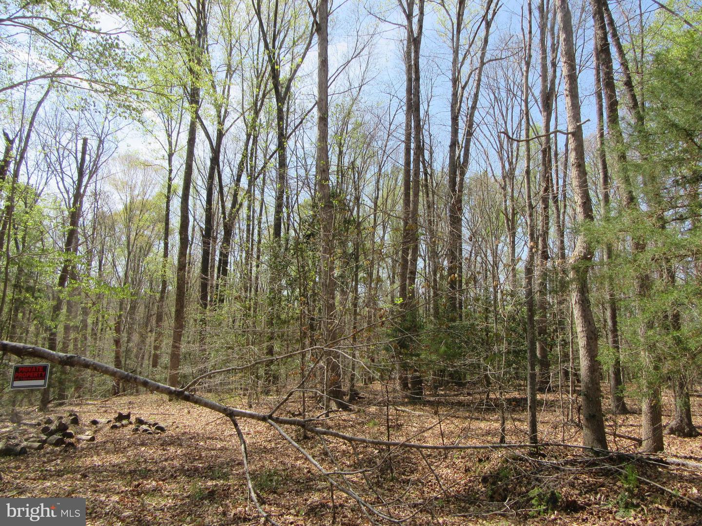 DIAMOND GLEN-LOT 3 OLD OFFICE RD, RHOADESVILLE, Virginia 22542, ,Land,For sale,DIAMOND GLEN-LOT 3 OLD OFFICE RD,VAOR2009468 MLS # VAOR2009468