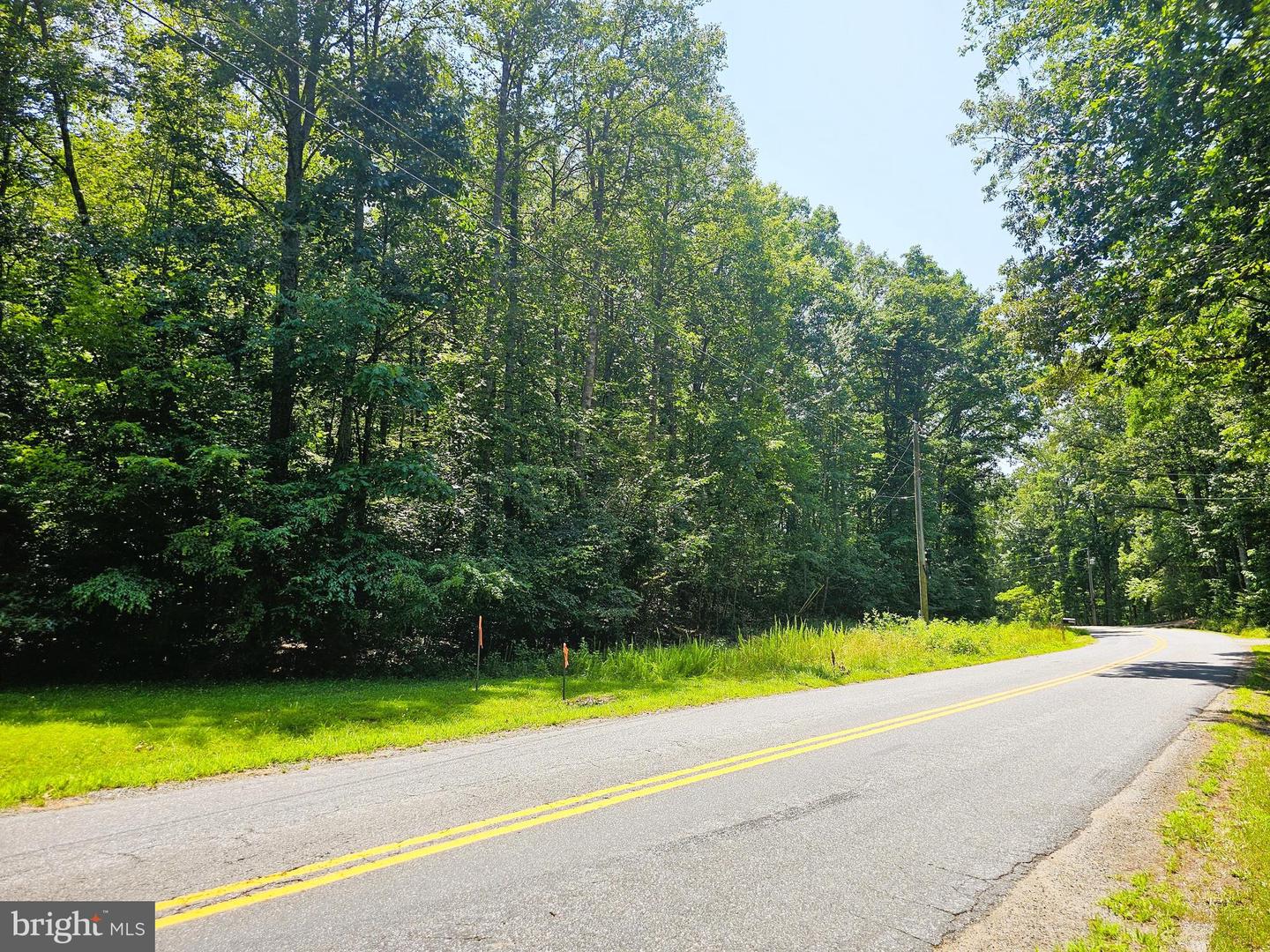 JACKS SHOP ROAD, ROCHELLE, Virginia 22738, ,Land,For sale,JACKS SHOP ROAD,VAMA2002312 MLS # VAMA2002312