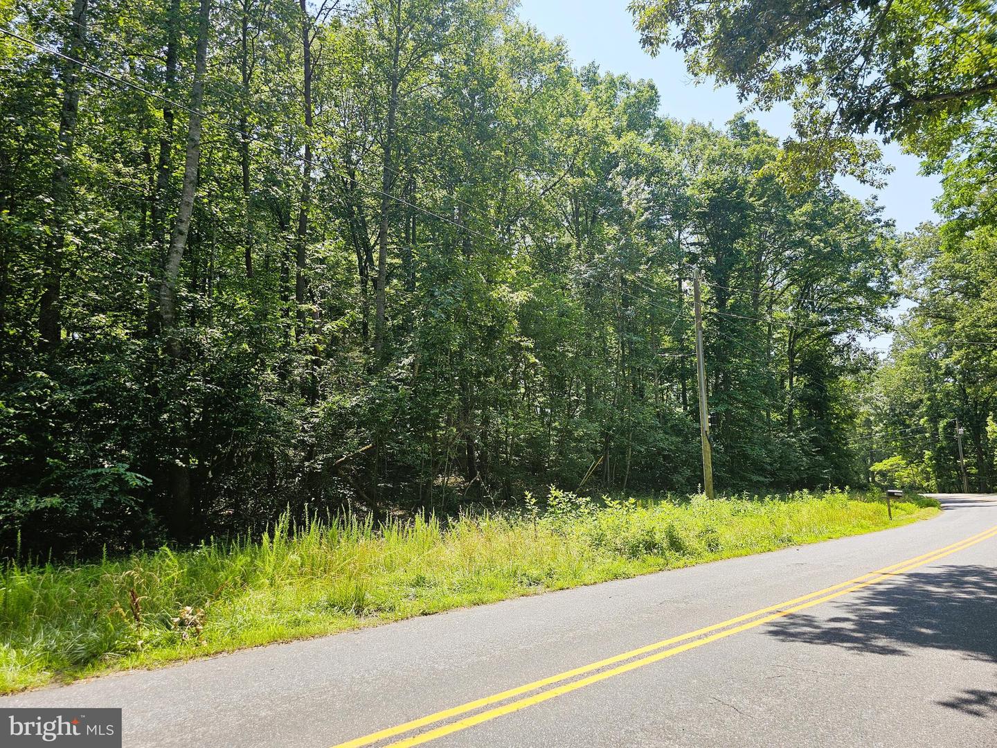 JACKS SHOP ROAD, ROCHELLE, Virginia 22738, ,Land,For sale,JACKS SHOP ROAD,VAMA2002312 MLS # VAMA2002312
