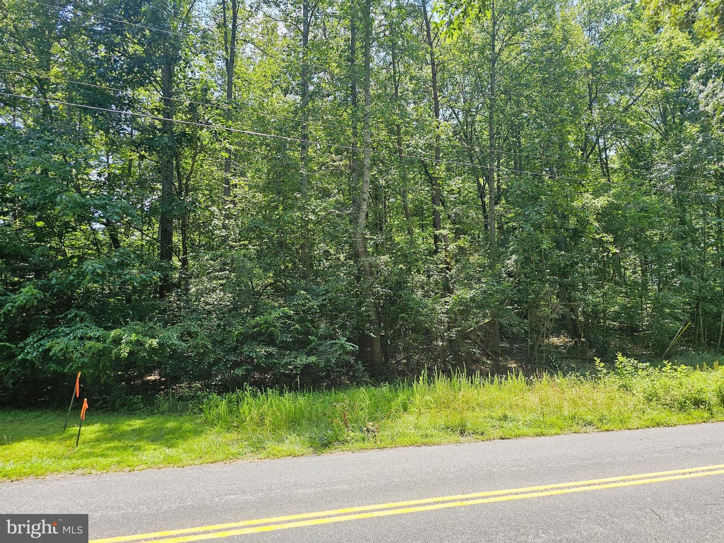 JACKS SHOP ROAD, ROCHELLE, Virginia 22738, ,Land,For sale,JACKS SHOP ROAD,VAMA2002312 MLS # VAMA2002312