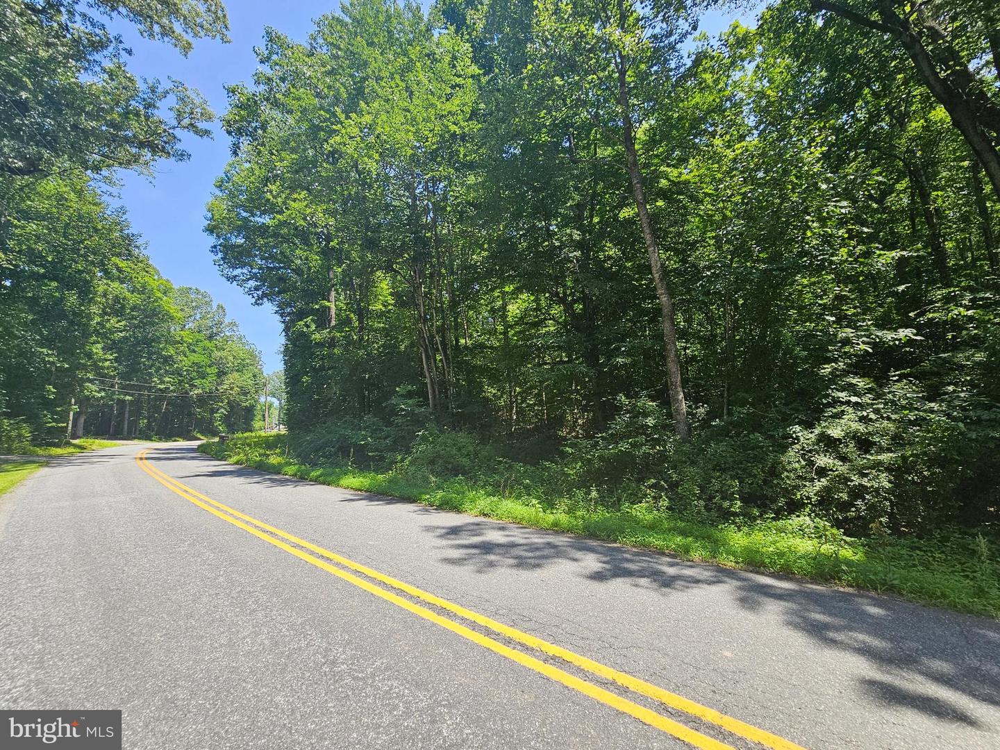 JACKS SHOP ROAD, ROCHELLE, Virginia 22738, ,Land,For sale,JACKS SHOP ROAD,VAMA2002312 MLS # VAMA2002312