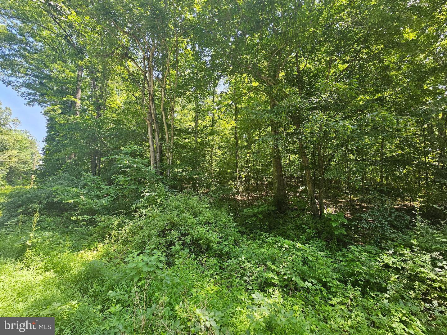 JACKS SHOP ROAD, ROCHELLE, Virginia 22738, ,Land,For sale,JACKS SHOP ROAD,VAMA2002312 MLS # VAMA2002312