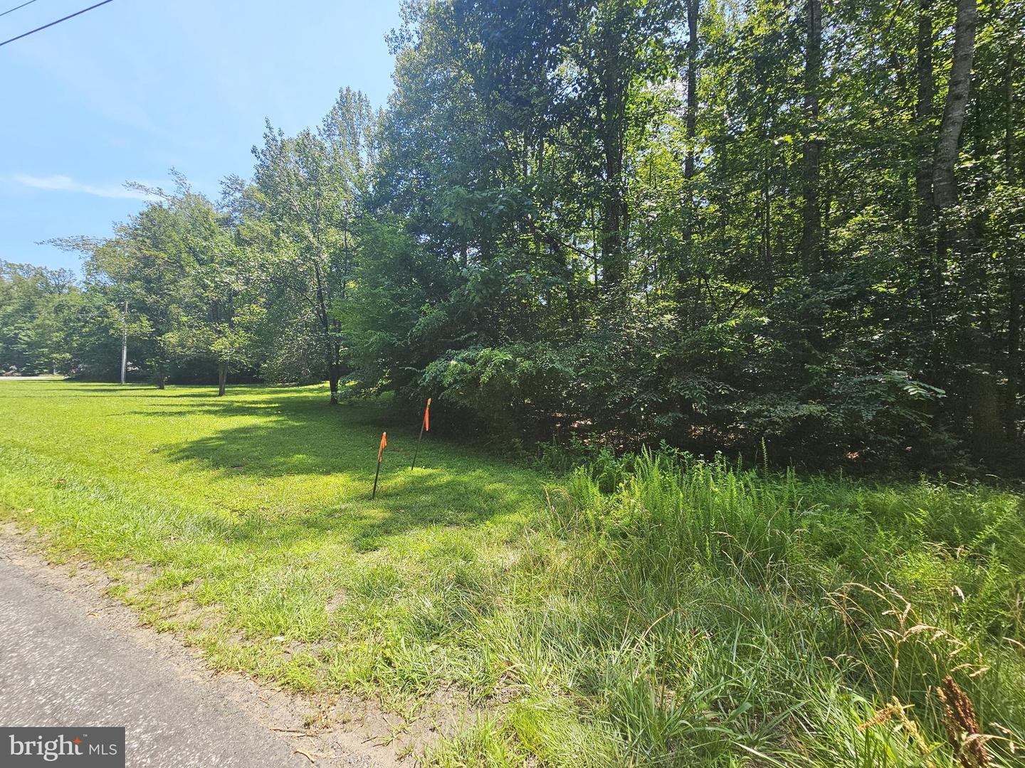 JACKS SHOP ROAD, ROCHELLE, Virginia 22738, ,Land,For sale,JACKS SHOP ROAD,VAMA2002312 MLS # VAMA2002312