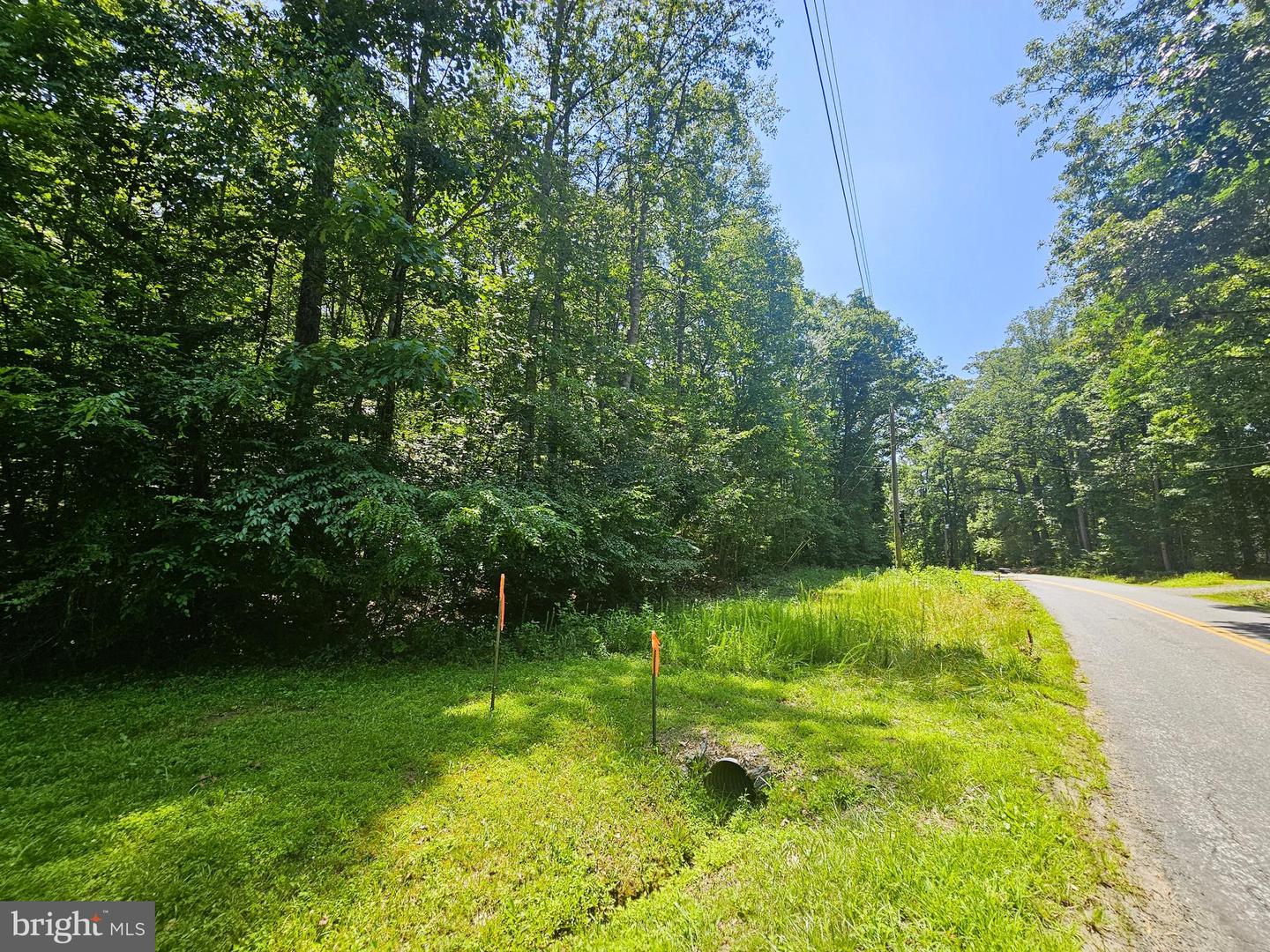 JACKS SHOP ROAD, ROCHELLE, Virginia 22738, ,Land,For sale,JACKS SHOP ROAD,VAMA2002312 MLS # VAMA2002312