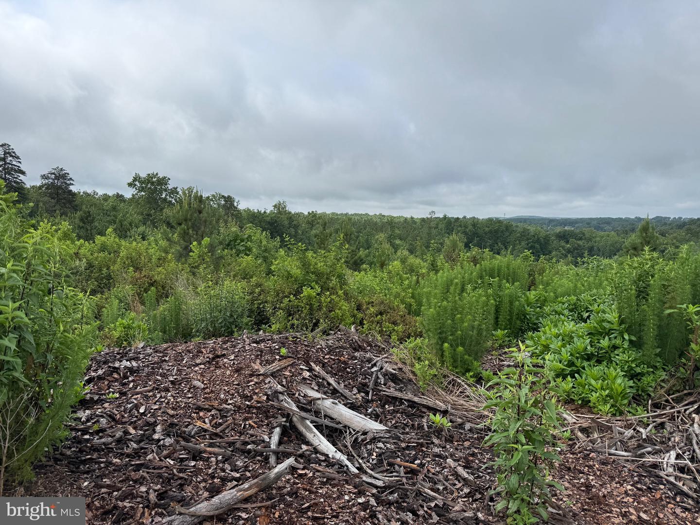 TBD DERBY RD, GRETNA, Virginia 24557, ,Farm,For sale,TBD DERBY RD,VAPI2000088 MLS # VAPI2000088