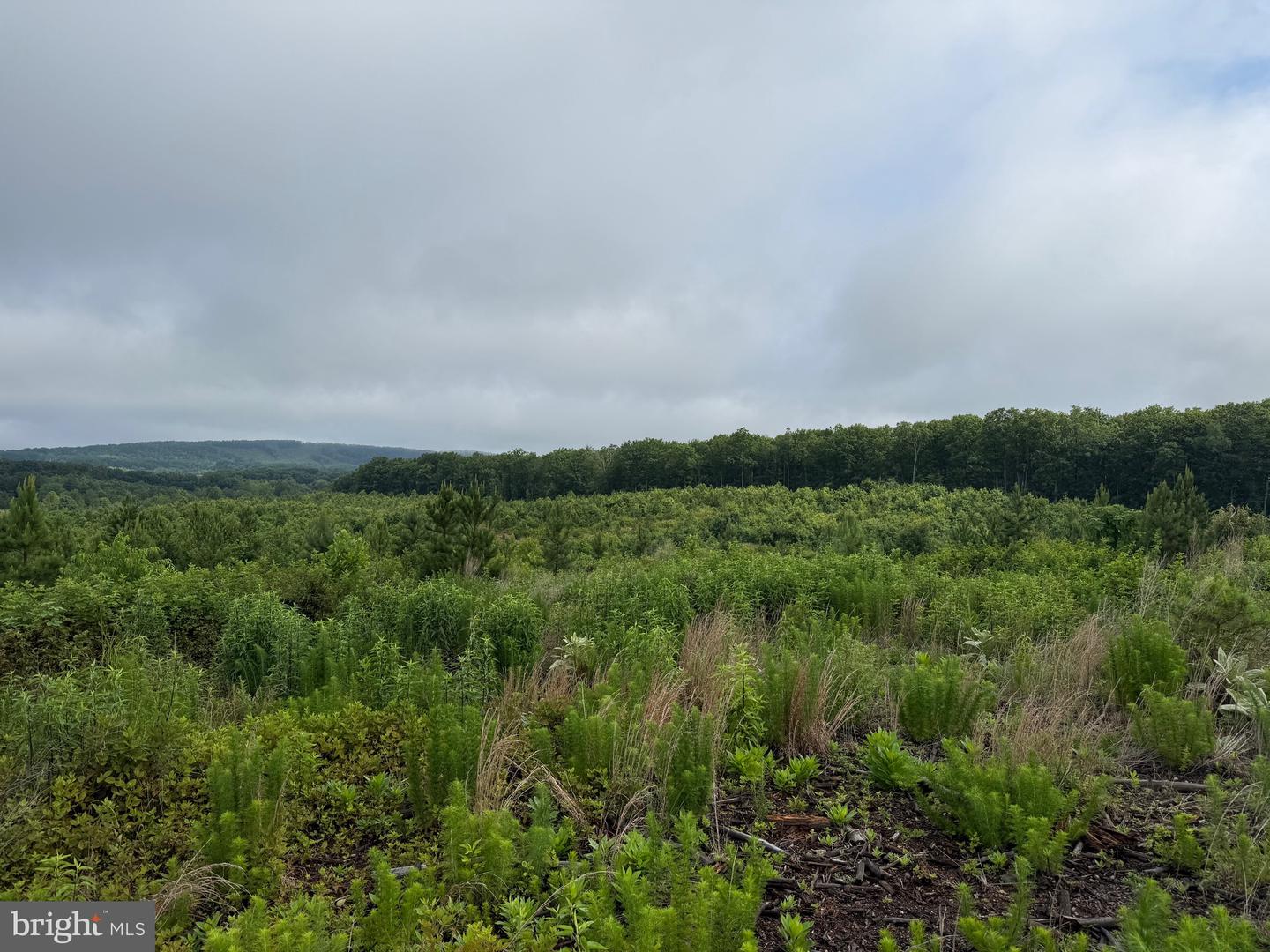 TBD DERBY RD, GRETNA, Virginia 24557, ,Farm,For sale,TBD DERBY RD,VAPI2000088 MLS # VAPI2000088