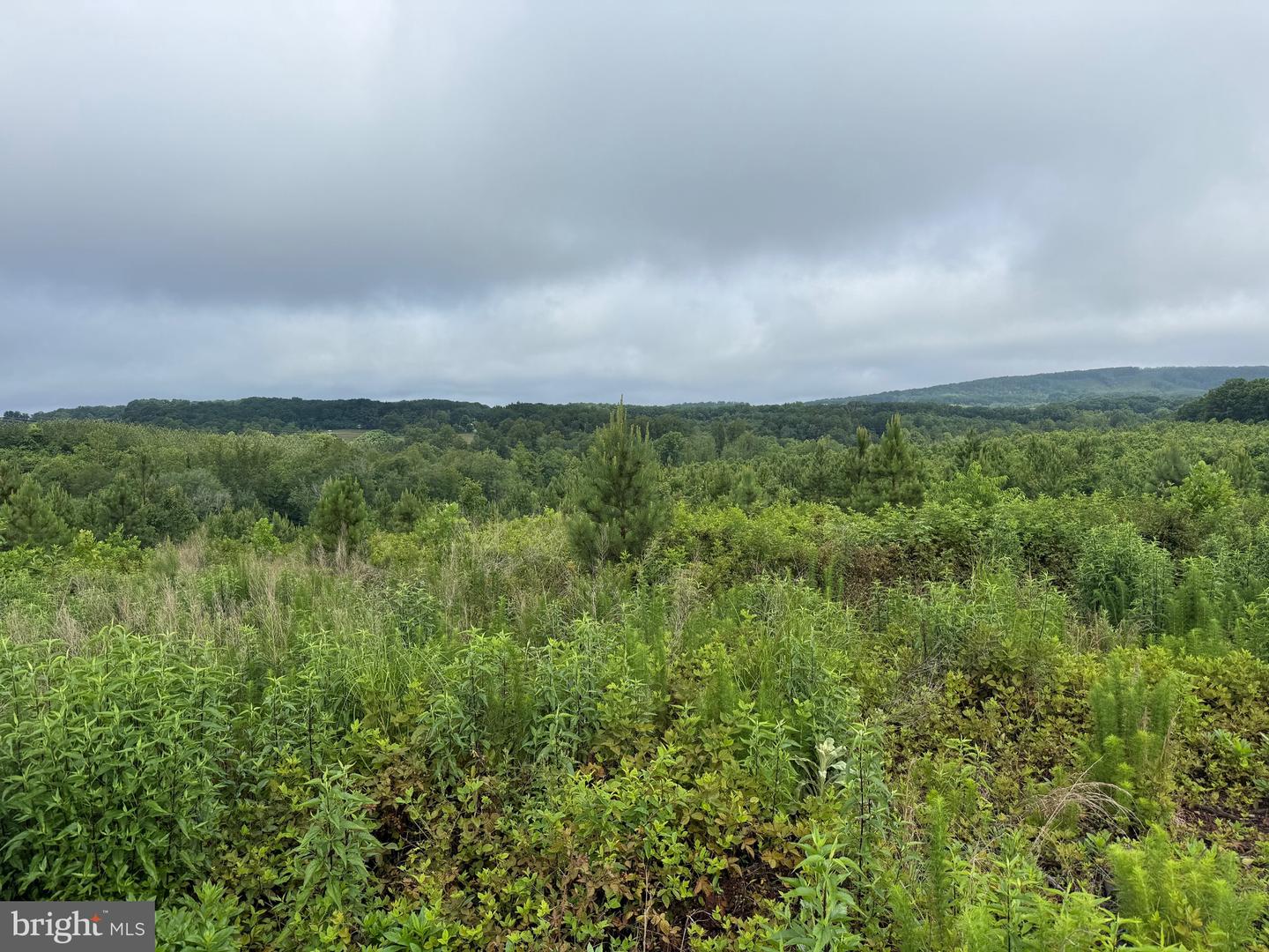 TBD DERBY RD, GRETNA, Virginia 24557, ,Farm,For sale,TBD DERBY RD,VAPI2000088 MLS # VAPI2000088