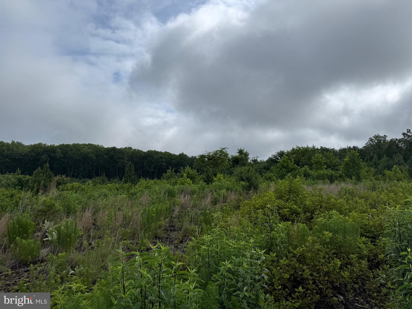 TBD DERBY RD, GRETNA, Virginia 24557, ,Farm,For sale,TBD DERBY RD,VAPI2000088 MLS # VAPI2000088