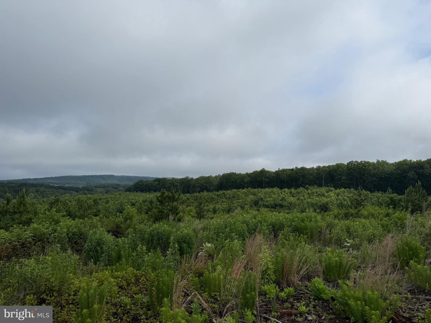 TBD DERBY RD, GRETNA, Virginia 24557, ,Farm,For sale,TBD DERBY RD,VAPI2000088 MLS # VAPI2000088