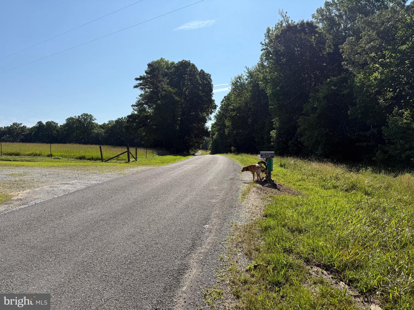 3 SELMA RD, JETERSVILLE, Virginia 23083, ,Farm,For sale,3 SELMA RD,VAAM2000076 MLS # VAAM2000076