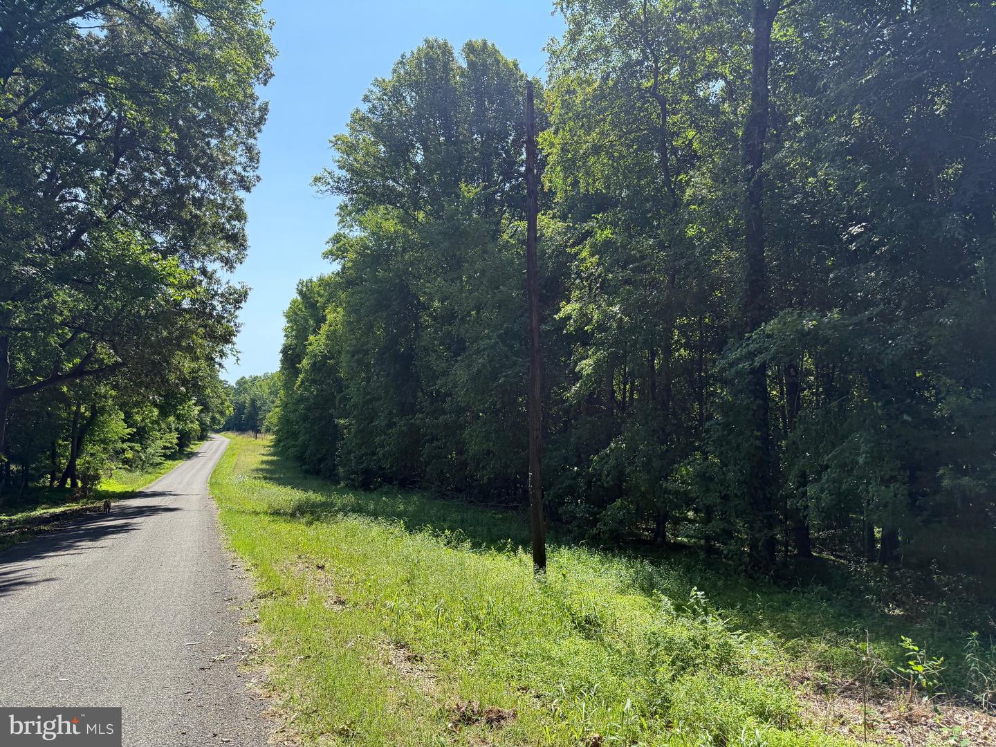 3 SELMA RD, JETERSVILLE, Virginia 23083, ,Farm,For sale,3 SELMA RD,VAAM2000076 MLS # VAAM2000076