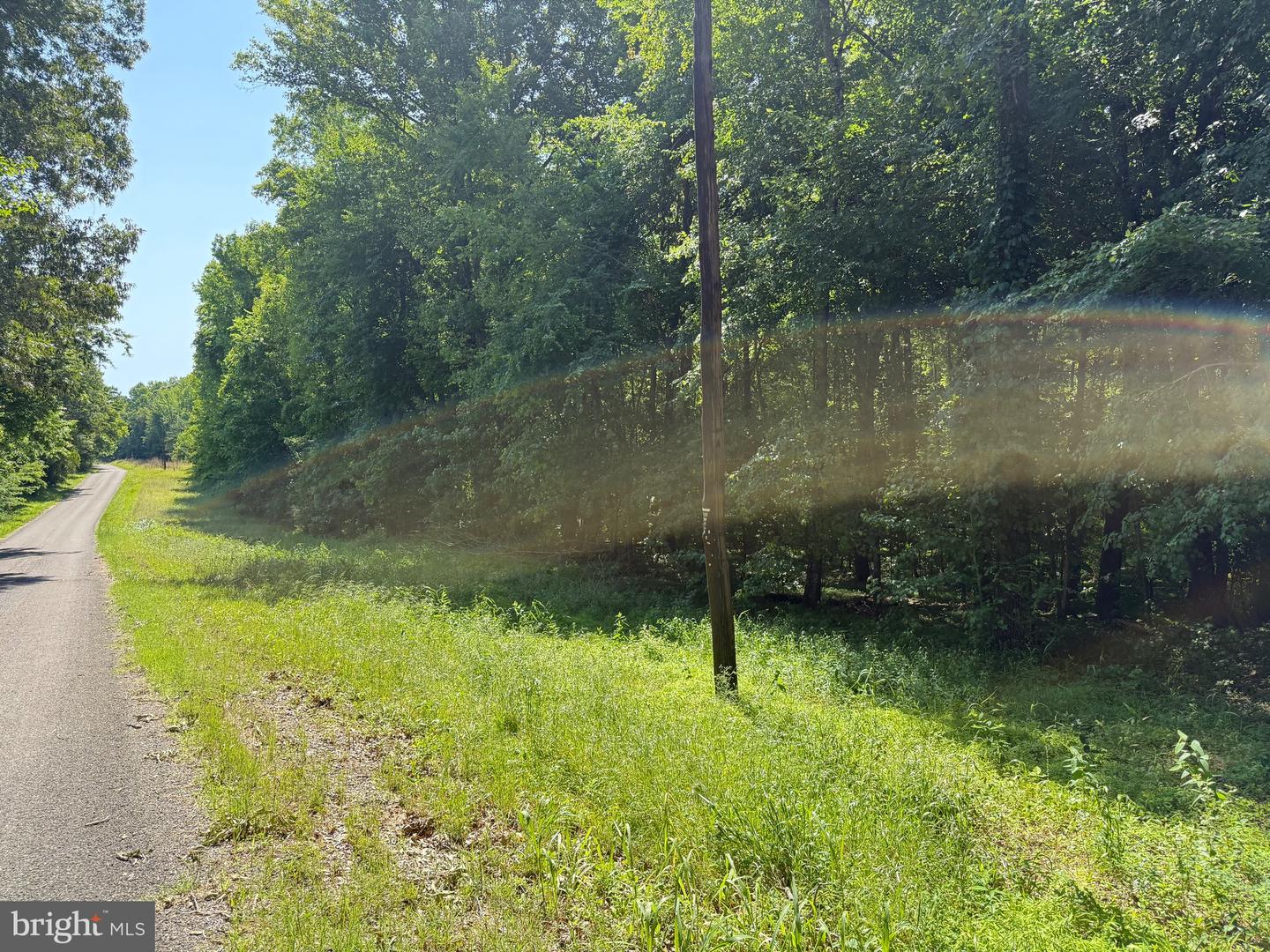 3 SELMA RD, JETERSVILLE, Virginia 23083, ,Farm,For sale,3 SELMA RD,VAAM2000076 MLS # VAAM2000076