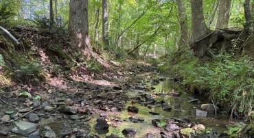 3 SELMA RD, JETERSVILLE, Virginia 23083, ,Farm,For sale,3 SELMA RD,VAAM2000076 MLS # VAAM2000076