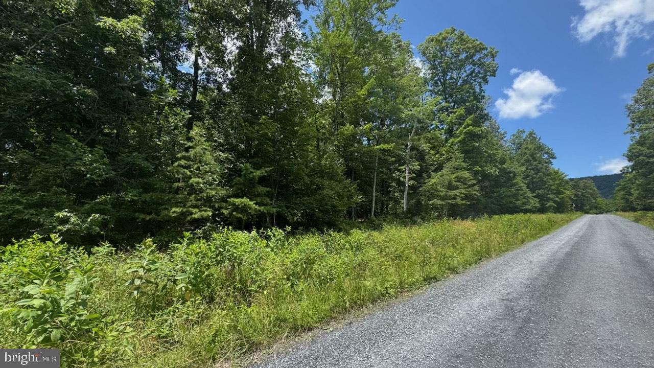 HUNTER RD. LOT 2, MAURERTOWN, Virginia 22644, ,Land,For sale,HUNTER RD. LOT 2,VASH2011848 MLS # VASH2011848