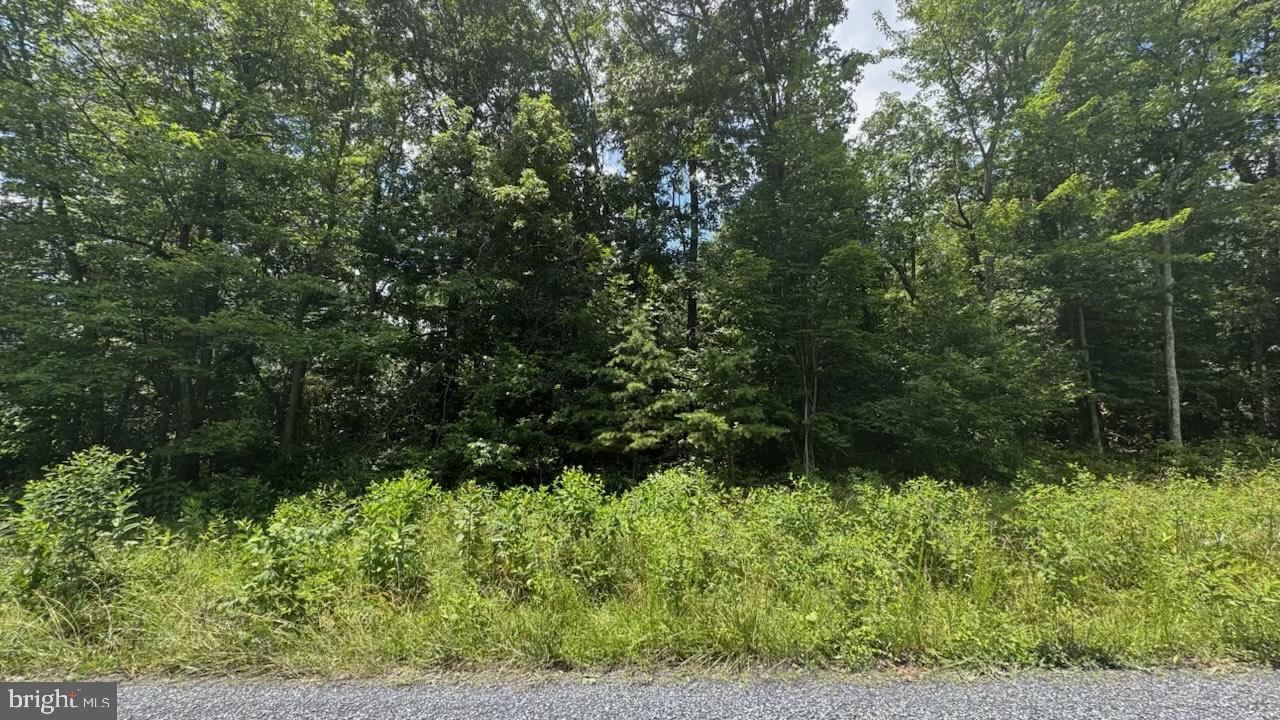 HUNTER RD. LOT 2, MAURERTOWN, Virginia 22644, ,Land,For sale,HUNTER RD. LOT 2,VASH2011848 MLS # VASH2011848