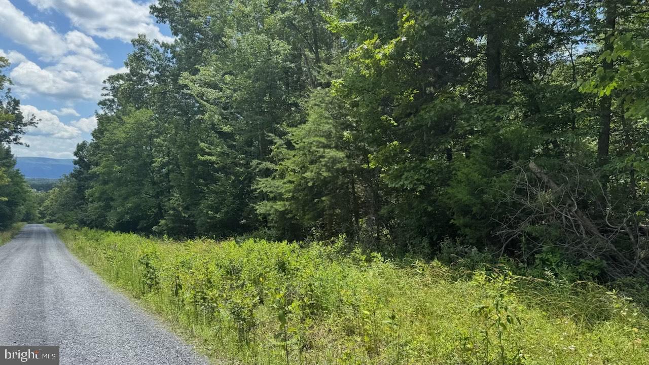 HUNTER RD. LOT 2, MAURERTOWN, Virginia 22644, ,Land,For sale,HUNTER RD. LOT 2,VASH2011848 MLS # VASH2011848