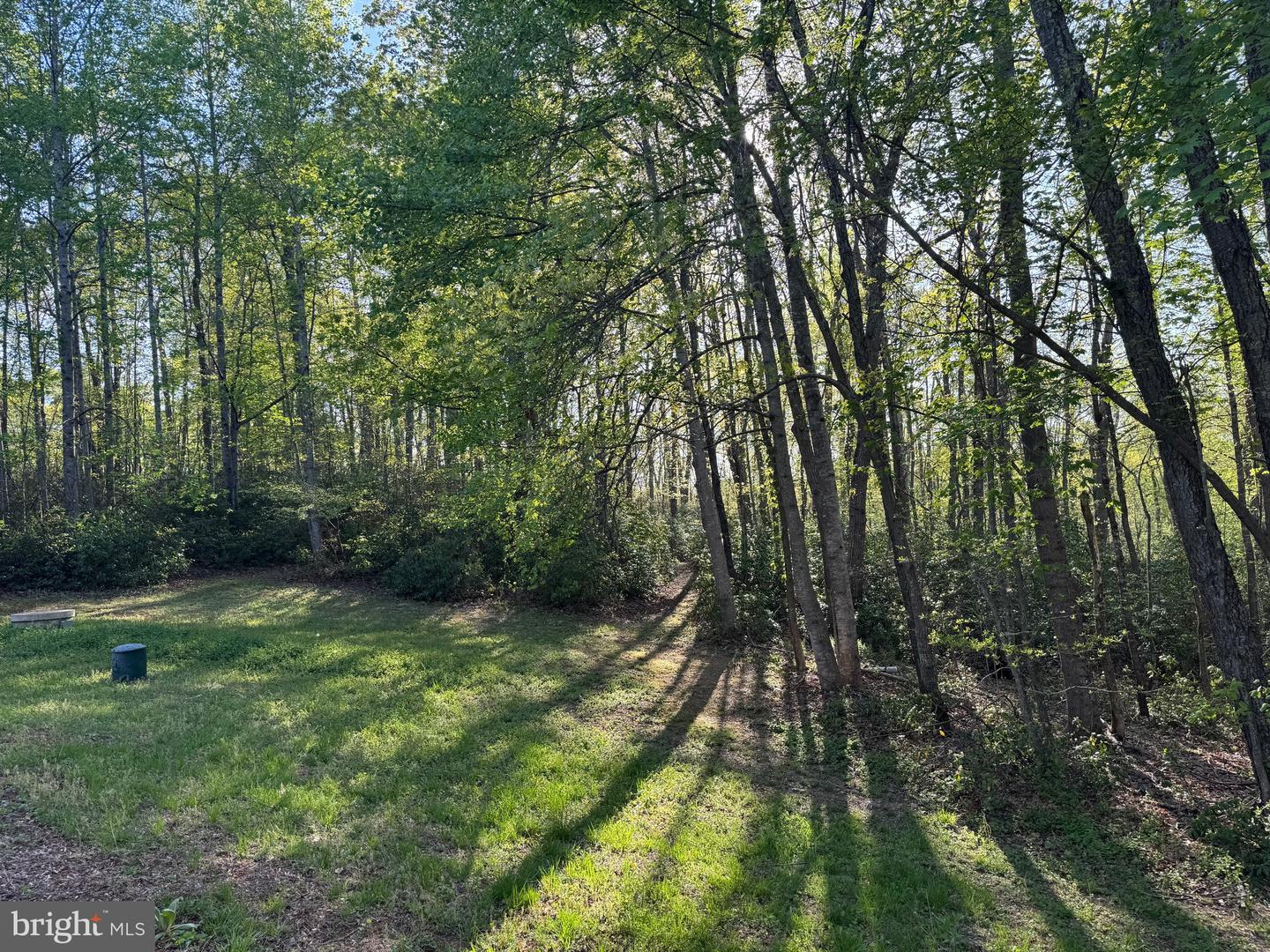 11068 ALUM SPRINGS RD, CULPEPER, Virginia 22701, 3 Bedrooms Bedrooms, ,3 BathroomsBathrooms,Residential,For sale,11068 ALUM SPRINGS RD,VACU2010372 MLS # VACU2010372