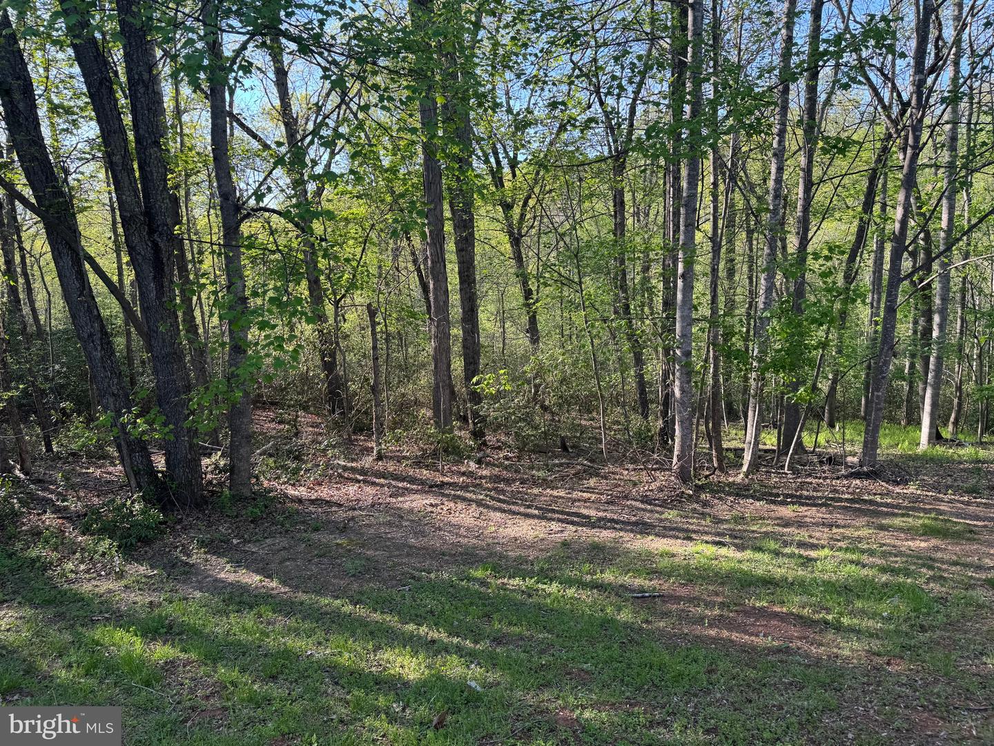 11068 ALUM SPRINGS RD, CULPEPER, Virginia 22701, 3 Bedrooms Bedrooms, ,3 BathroomsBathrooms,Residential,For sale,11068 ALUM SPRINGS RD,VACU2010372 MLS # VACU2010372