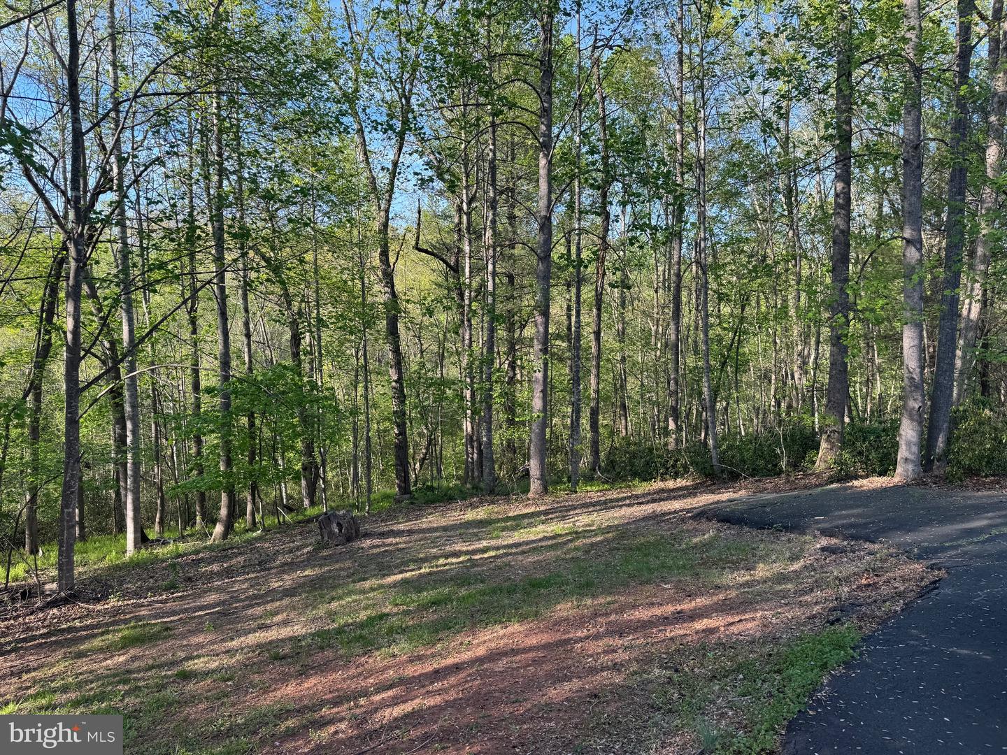 11068 ALUM SPRINGS RD, CULPEPER, Virginia 22701, 3 Bedrooms Bedrooms, ,3 BathroomsBathrooms,Residential,For sale,11068 ALUM SPRINGS RD,VACU2010372 MLS # VACU2010372