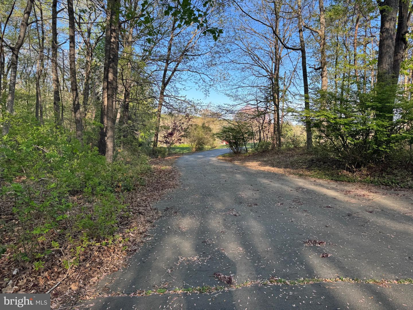 11068 ALUM SPRINGS RD, CULPEPER, Virginia 22701, 3 Bedrooms Bedrooms, ,3 BathroomsBathrooms,Residential,For sale,11068 ALUM SPRINGS RD,VACU2010372 MLS # VACU2010372