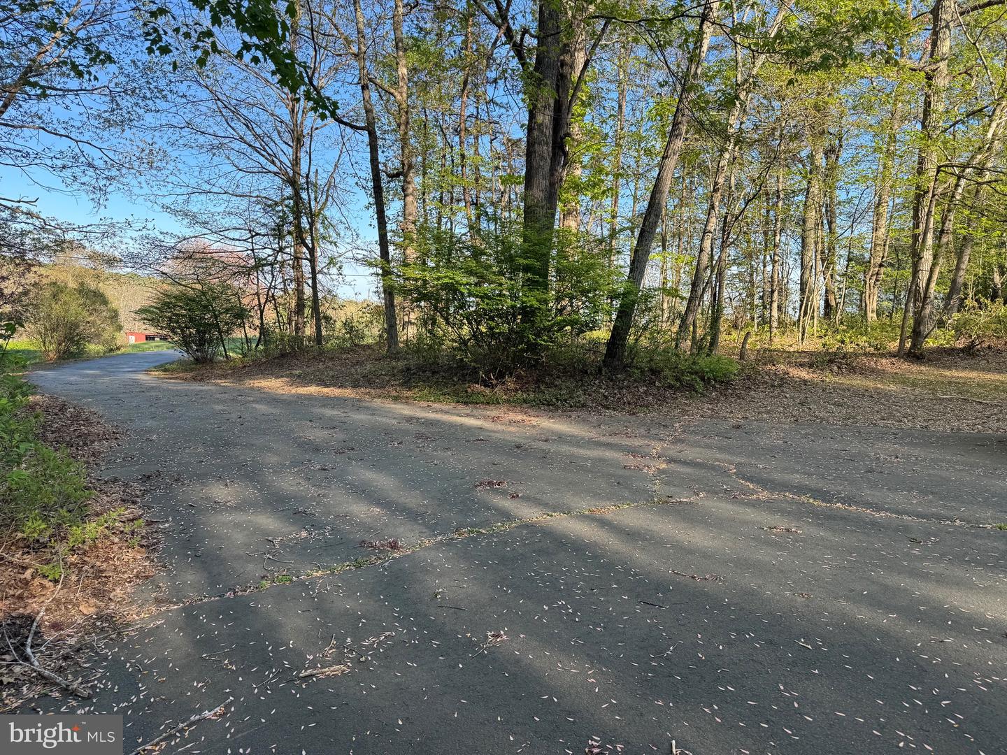 11068 ALUM SPRINGS RD, CULPEPER, Virginia 22701, 3 Bedrooms Bedrooms, ,3 BathroomsBathrooms,Residential,For sale,11068 ALUM SPRINGS RD,VACU2010372 MLS # VACU2010372