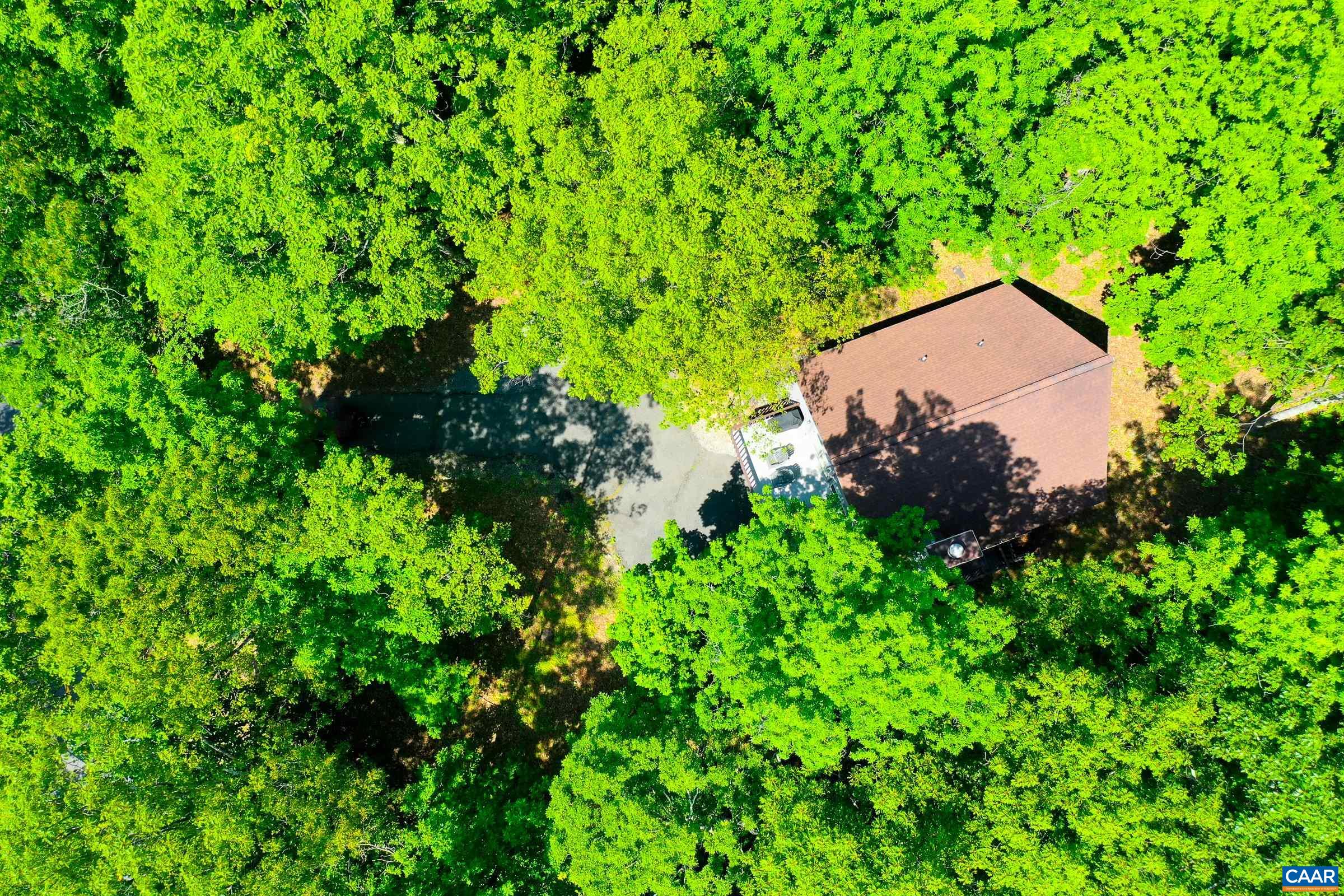 Surrounded by trees at the top of Wintergreen Resort!